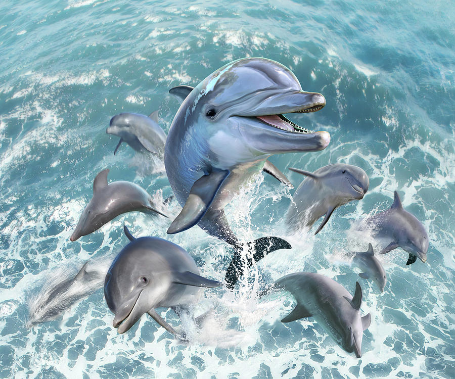 Dolphin Digital Art - Dolphin Jump by Jerry LoFaro