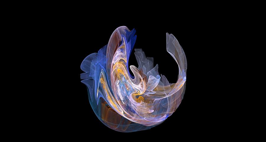 Dolphin Light Digital Art by Richard Goates - Fine Art America