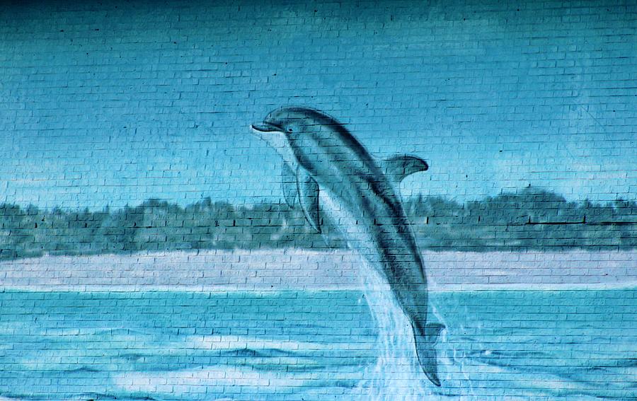 Animal Photograph - Dolphin Mural by Cynthia Guinn
