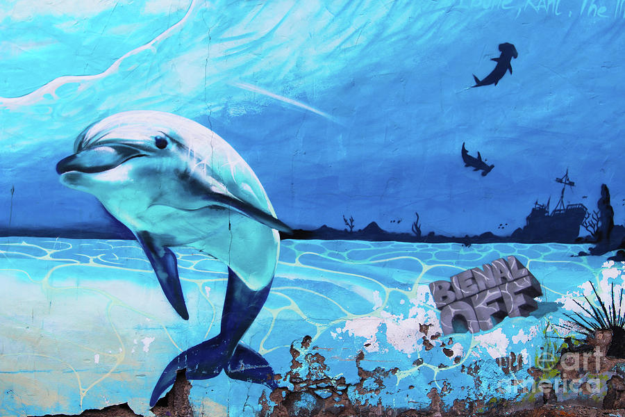 Dolphin Mural Photograph by Eddie Barron