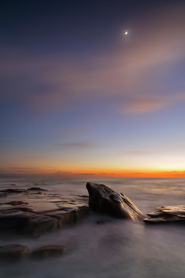 Dolphin Rock Photograph By Stephen Reid