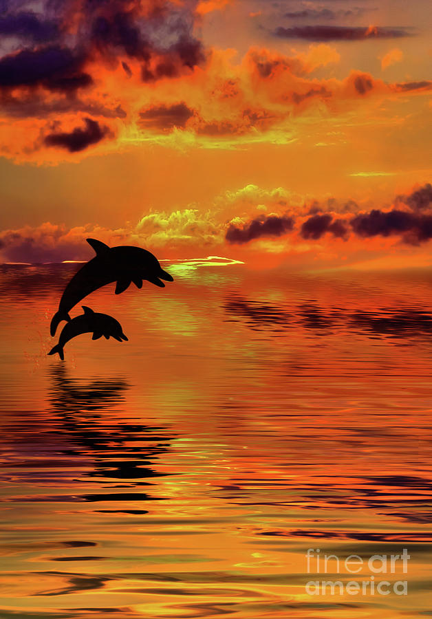Dolphin Silhouette Sunset by Kaye Menner Digital Art by Kaye Menner