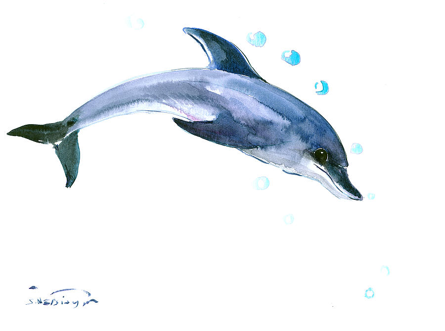 Dolphin Painting - Dolphin by Suren Nersisyan