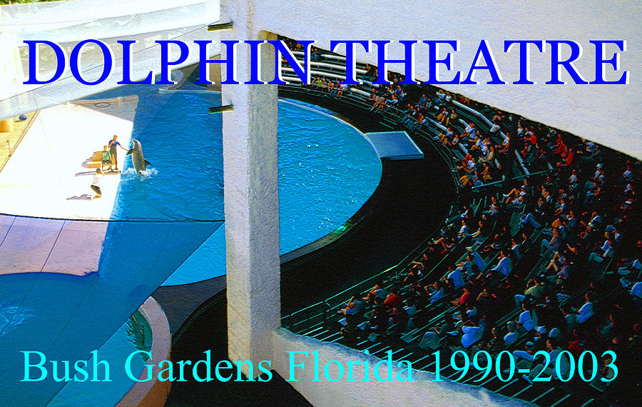 Dolphin Theatre Bush Gardens Florida Painting by David Lee Thompson