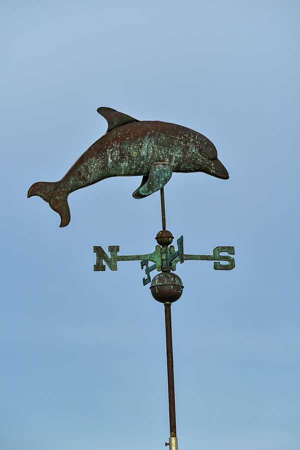 Dolphin Weathervane Photograph by Artful Imagery