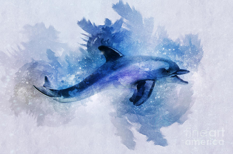 Dolphins Freedom Digital Art by Ian Mitchell