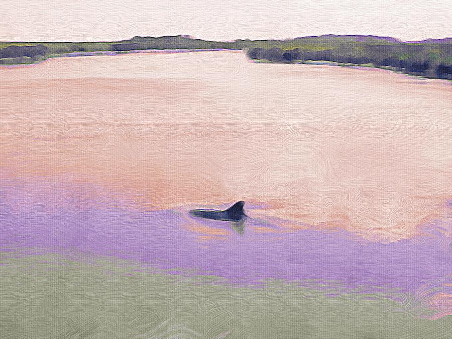 Dolphins in the river Photograph by Patricia Greer