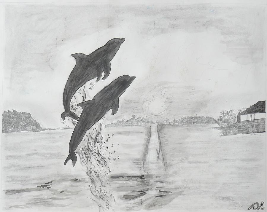 Dolphin Drawing  TikTok