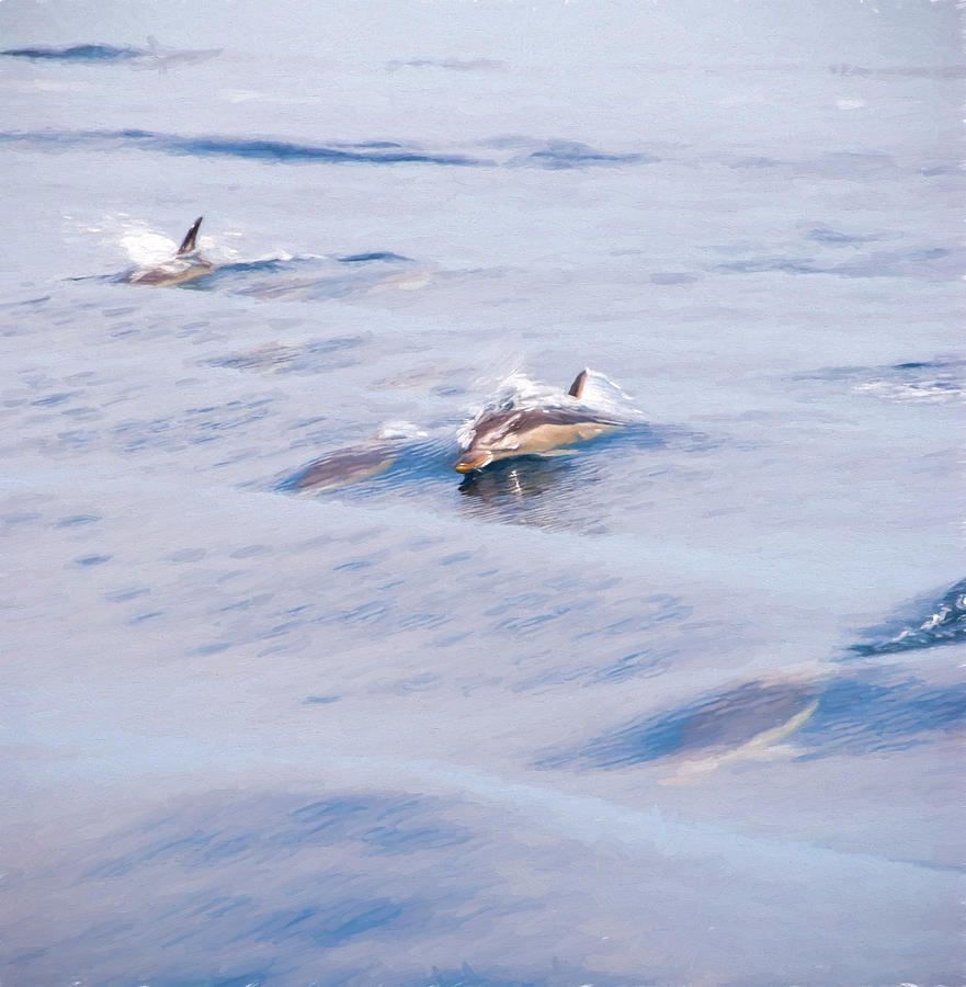 Dolphins Playing Digital Art by Roy Pedersen