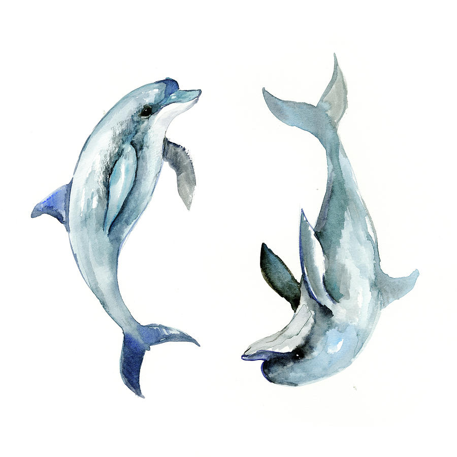 Animal Painting - Dolphins by Suren Nersisyan