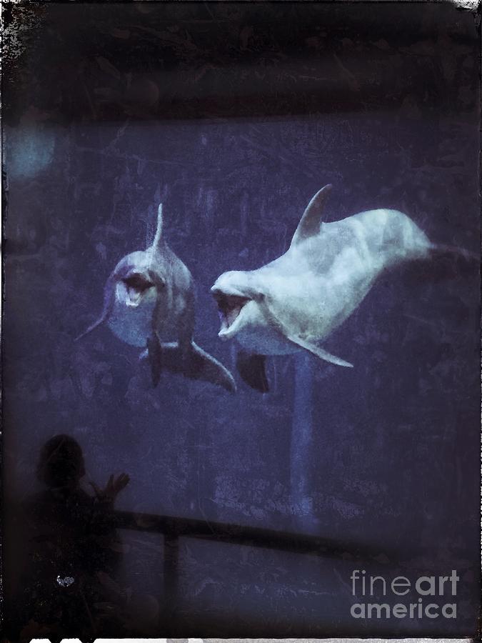 Dolphinspiration Photograph by Jason Nicholas