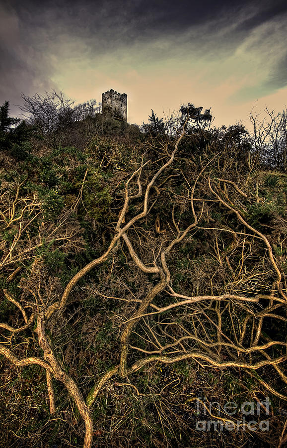Dolwyddelan Castle Photograph by Meirion Matthias