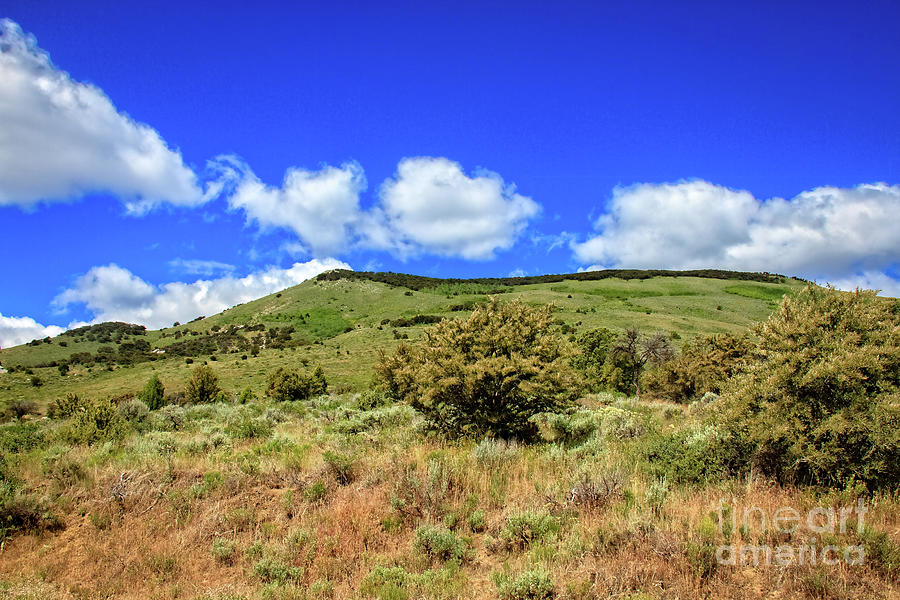 Nature Photograph - Dome Hill by Robert Bales