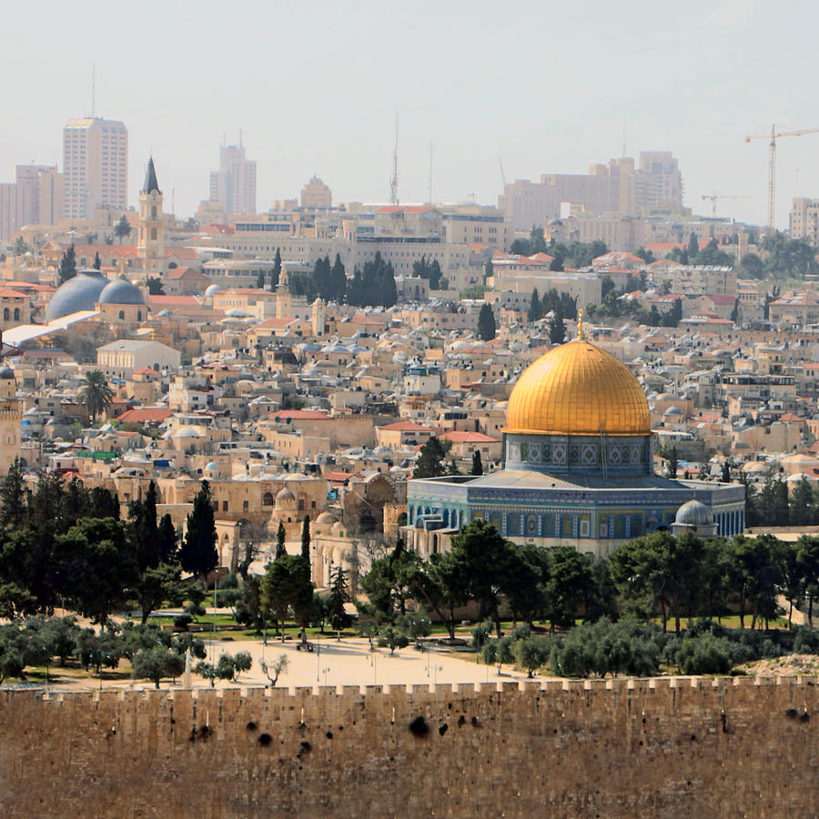 Dome of the Rock Garden Photograph by Munir Alawi - Fine Art America