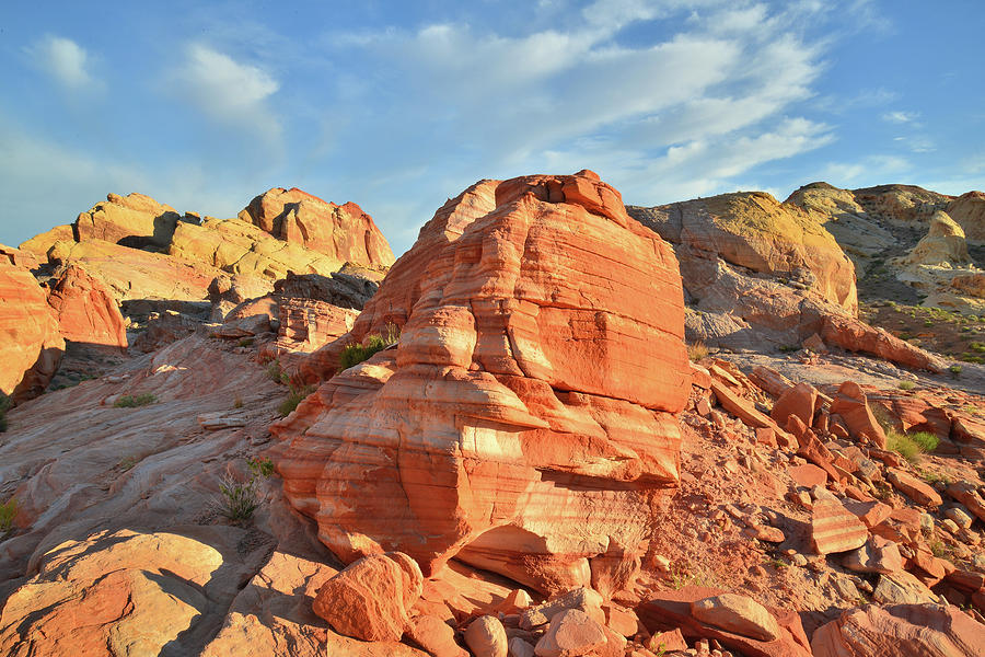 Domes and Castles in Valley of Fire Photograph by Ray Mathis