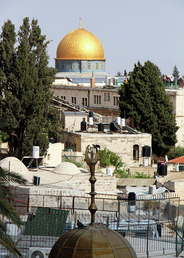 Domes in Jerusalem Photograph by Munir Alawi