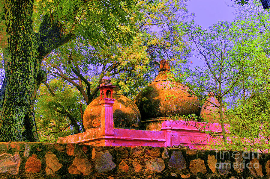 Domes in Park Photograph by Rick Bragan