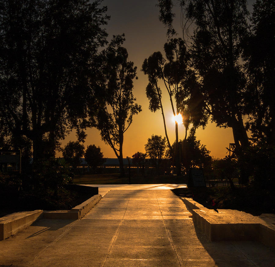 Dominguez Hills Sunset Photograph by Ed Clark