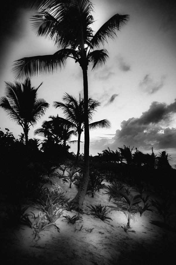 Dominicana Beach Photograph by Peter Lakomy