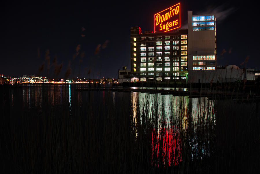 Domino Sugars through the Reed Photograph by Mark Dodd