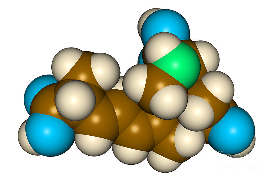 Domoic Acid Molecular Model Photograph by Scimat