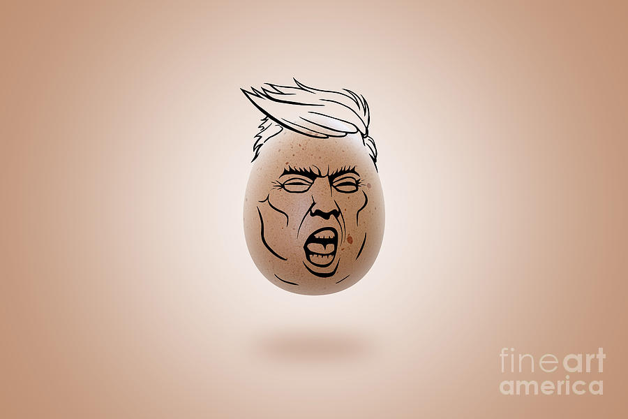 Donald Trump Egg Face Photograph