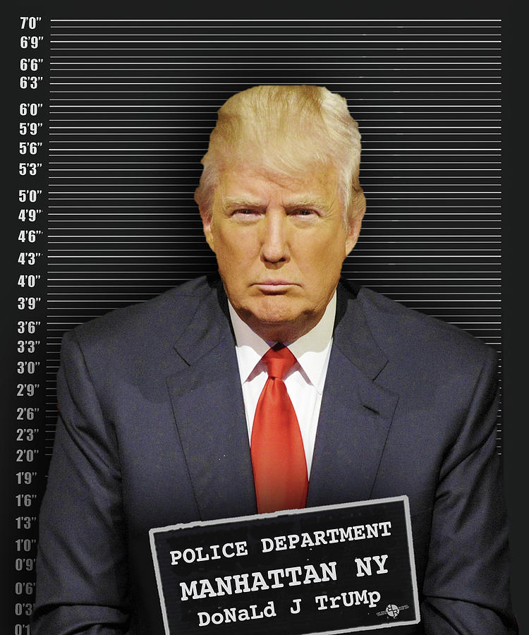 Donald Trump Photograph - Donald Trump Mugshot by Tony Rubino