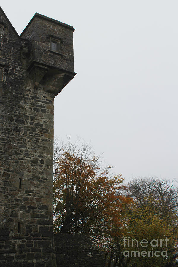 Castle Photograph - Donegal Castle Autumn  by Eddie Barron
