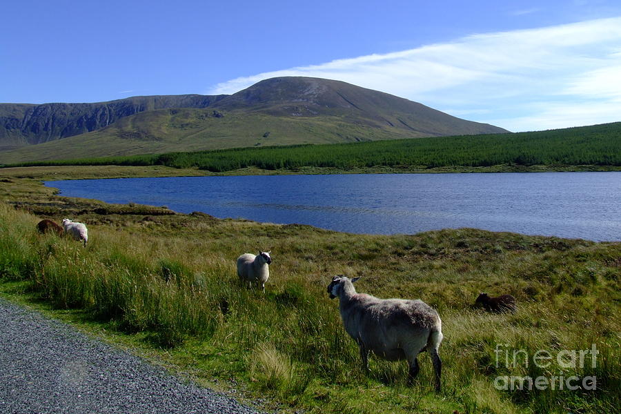 Donegal landscape Photograph by Joe Cashin