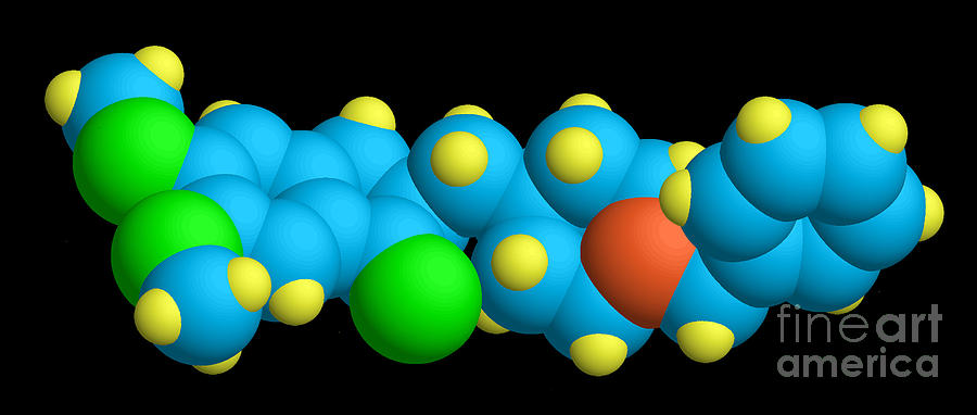 Donepezil Molecular Model Photograph by Scimat