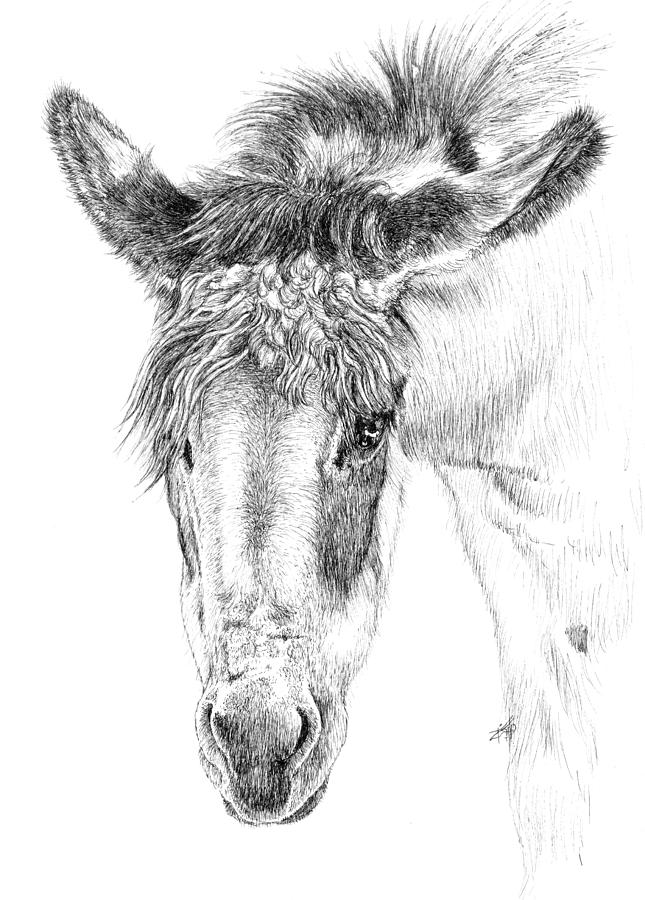 Donkey Painting - Donkey 1 by Keran Sunaski Gilmore