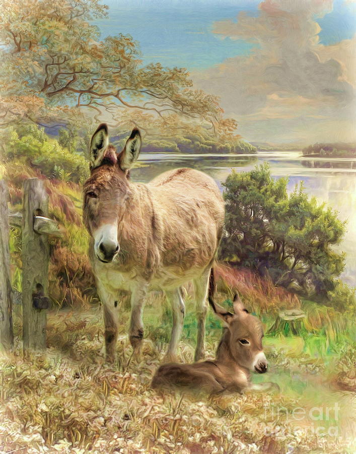 Donkey And Foal Digital Art