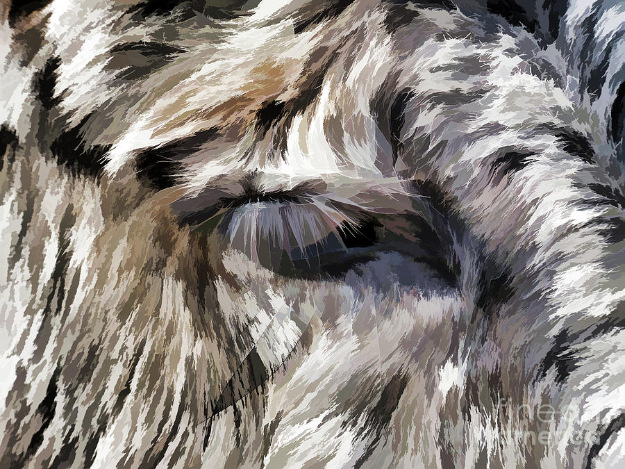 Donkey eye Painting by Jeelan Clark
