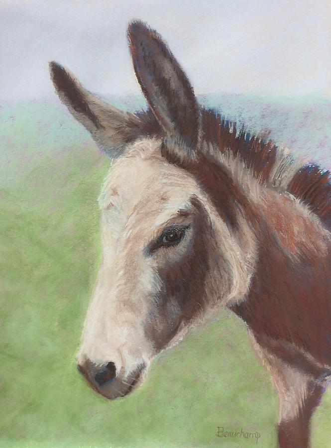 Donkey Face Pastel by Nancy Beauchamp