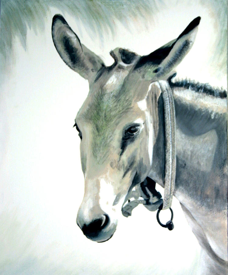 Donkey Painting - Donkey by Fiona Jack   