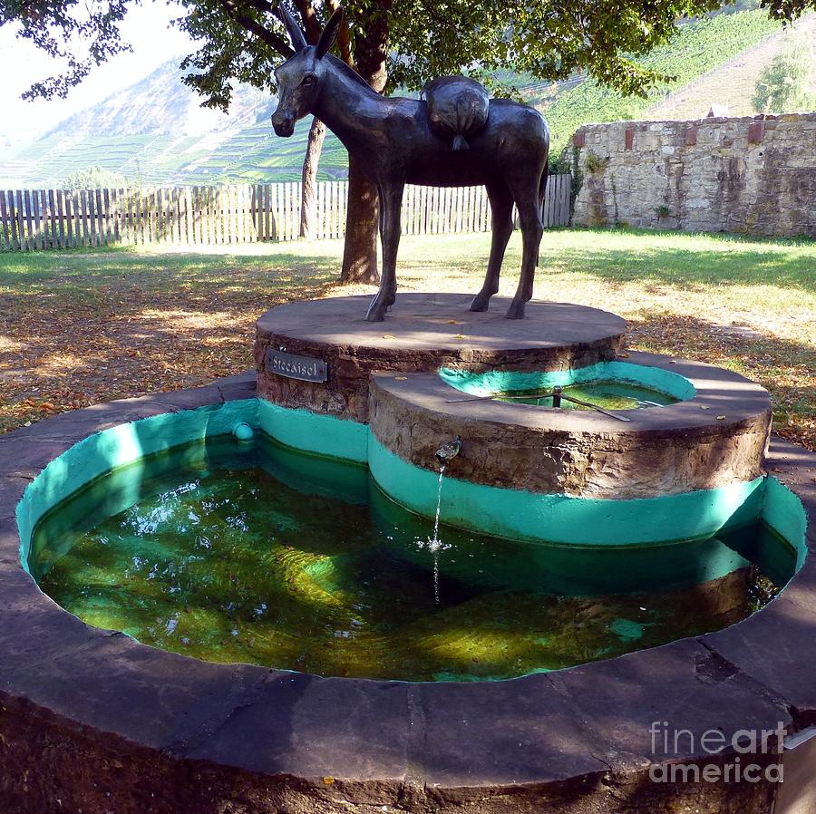 Donkey Photograph - Donkey Fountain by Barbie Corbett-Newmin