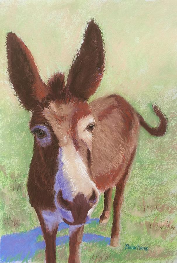 Donkey Hodie Pastel by Nancy Beauchamp