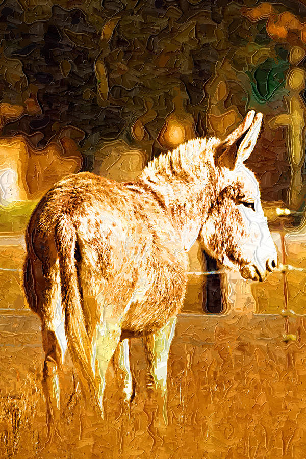 Animal Digital Art - Donkey by Paul Bartoszek