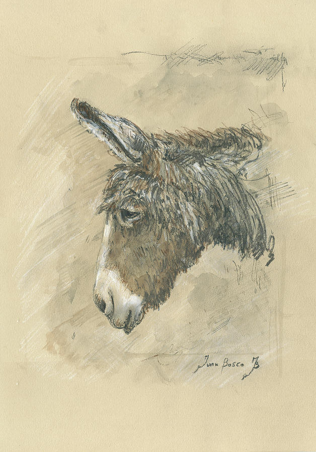 Farm Animals Painting - Donkey Portrait by Juan Bosco
