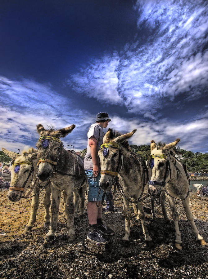 Donkey Rides Photograph by Meirion Matthias