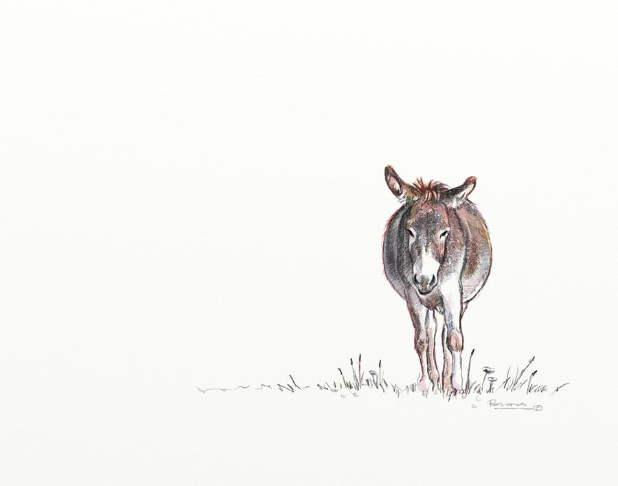 Donkey Sketch Digital Art by Ramona Kurten
