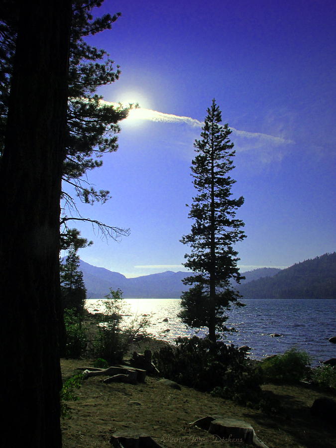 Donner Lake Six Photograph by Joyce Dickens