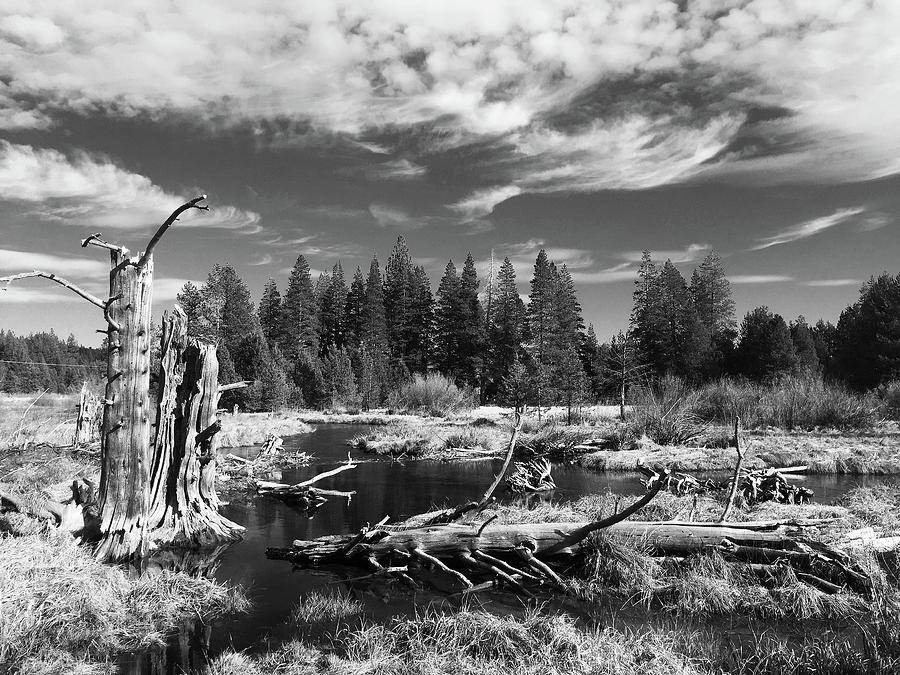 Donner Pass Black and White Photograph by Sierra Vance - Fine Art America