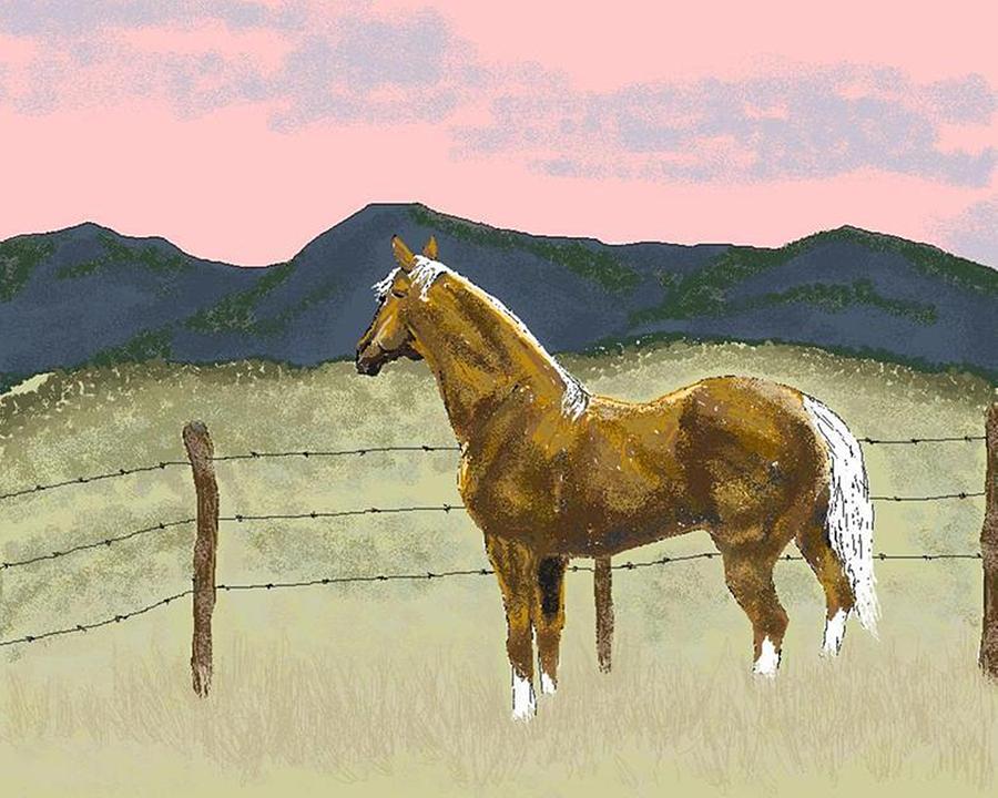 Horse Digital Art - Dont Fence Me In by Carole Boyd