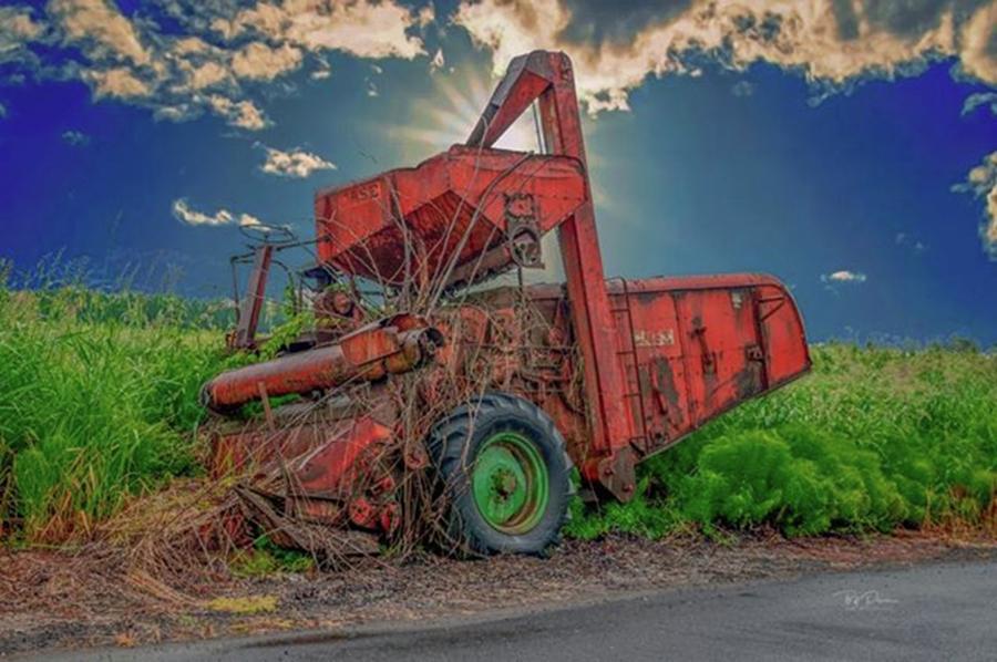 Transportation Photograph - Dont Get Stuck In The Weeds! by Bill Posner