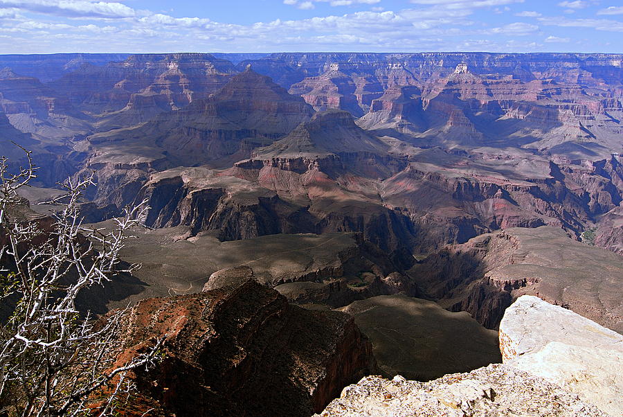 Grand Canyon National Park Photograph - Dont Get Too Close to the Edge by Larry Ricker