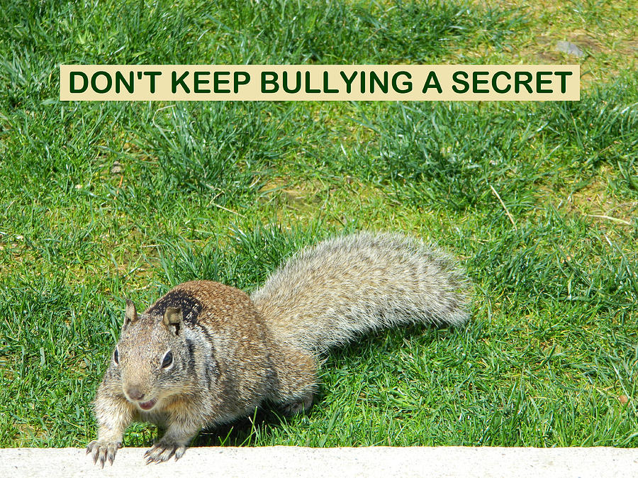 Dont Keep Bullying A Secret Photograph by Gallery Of Hope 