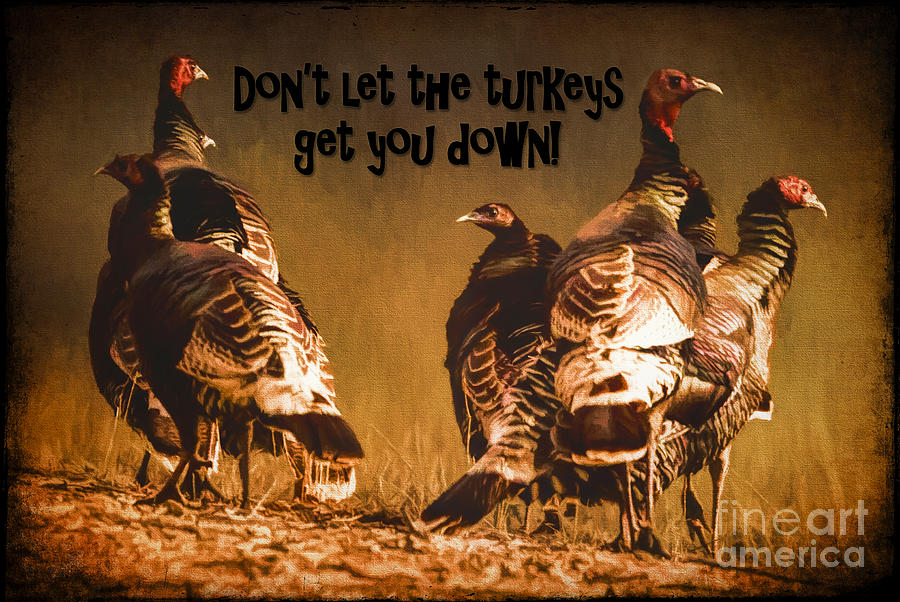 Dont Let the Turkeys Get You Down Photograph by Priscilla Burgers