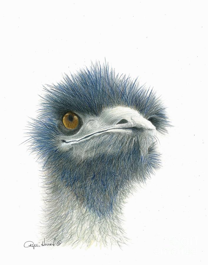 Dont Mess with EMU Drawing by Phyllis Howard