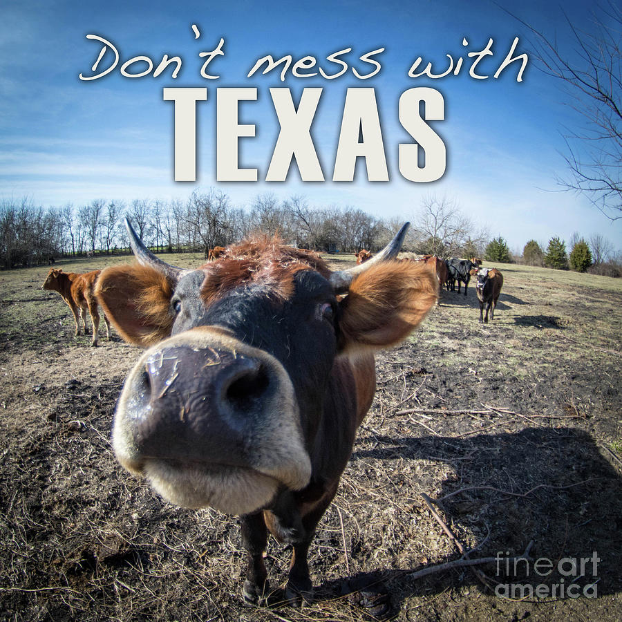 Dont Mess with Texas Digital Art by Cheryl McClure